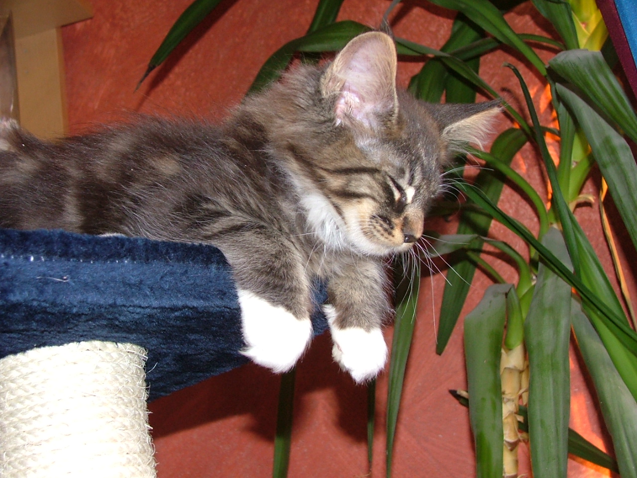DSCF5221.JPG