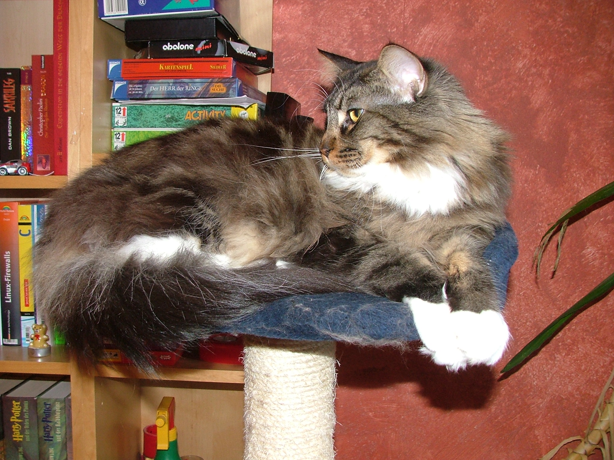 DSCF6057.JPG