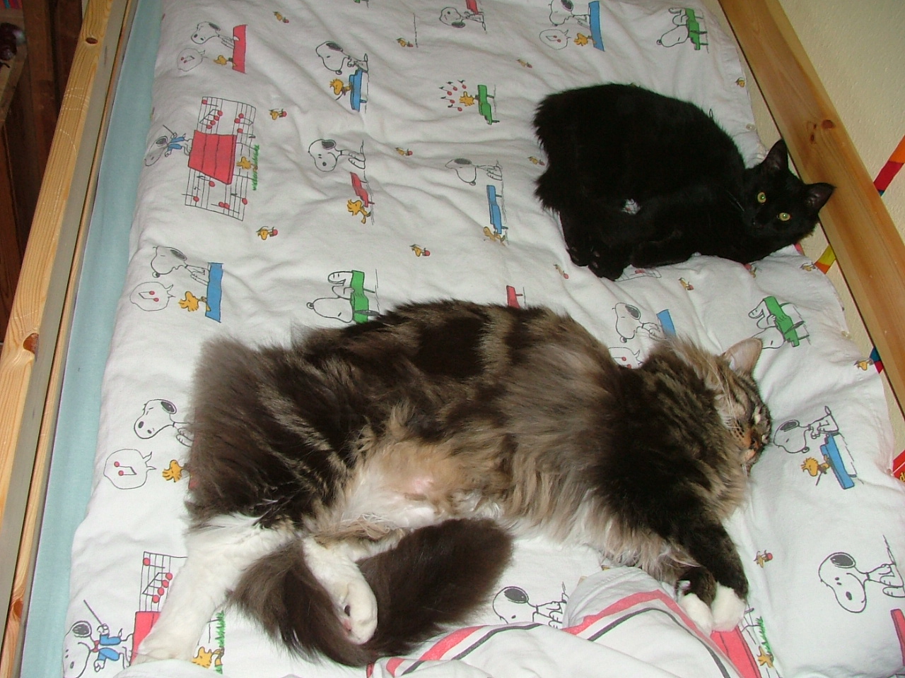 DSCF5915.JPG