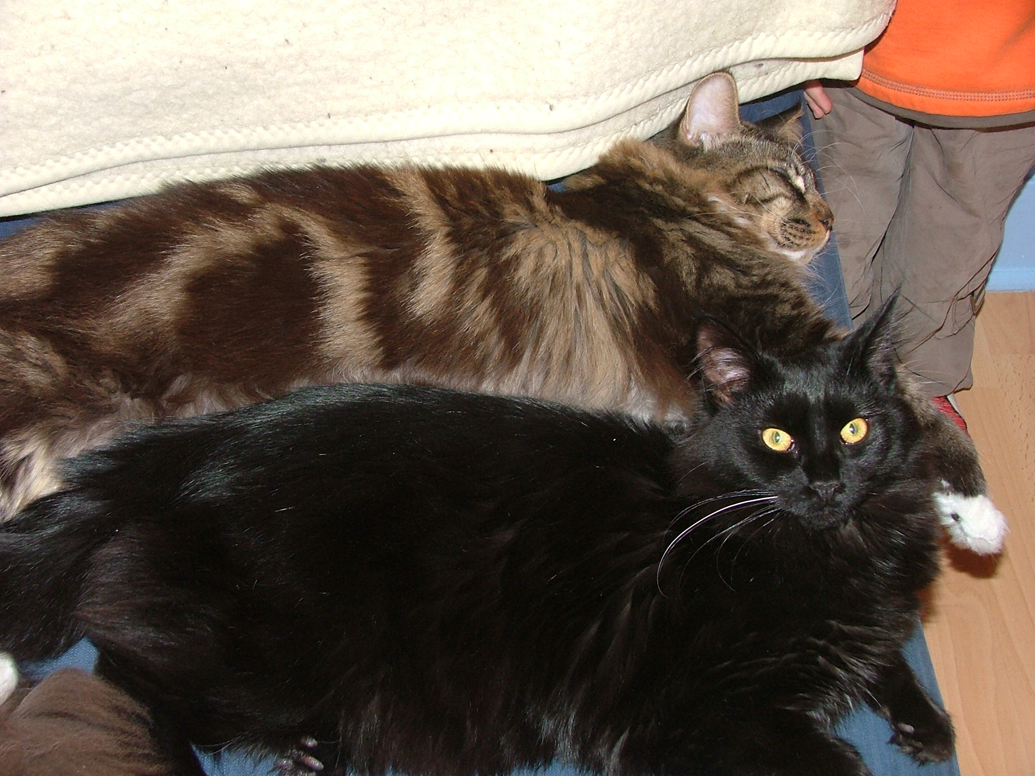DSCF5984.JPG