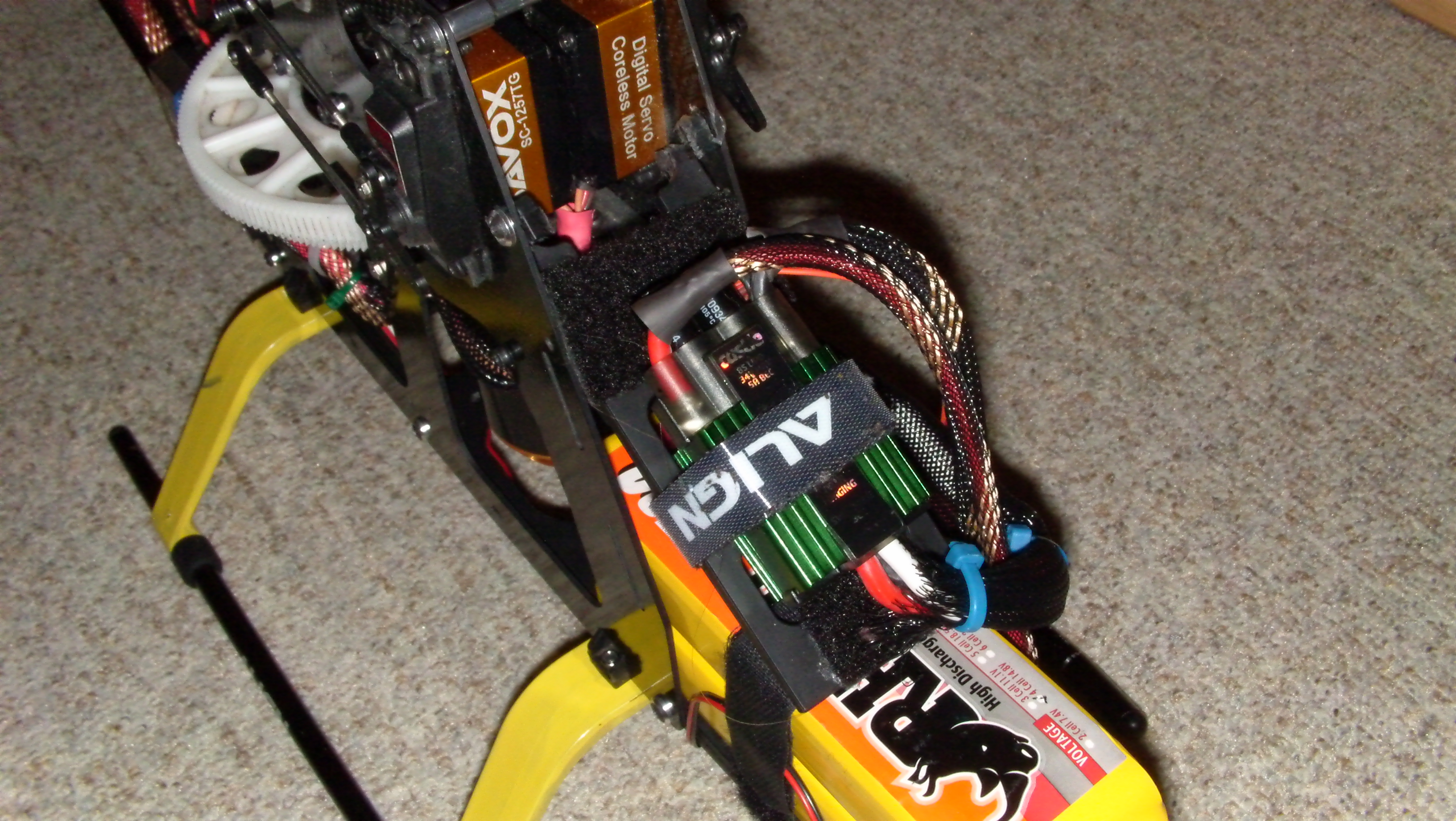 DVCI0087.JPG