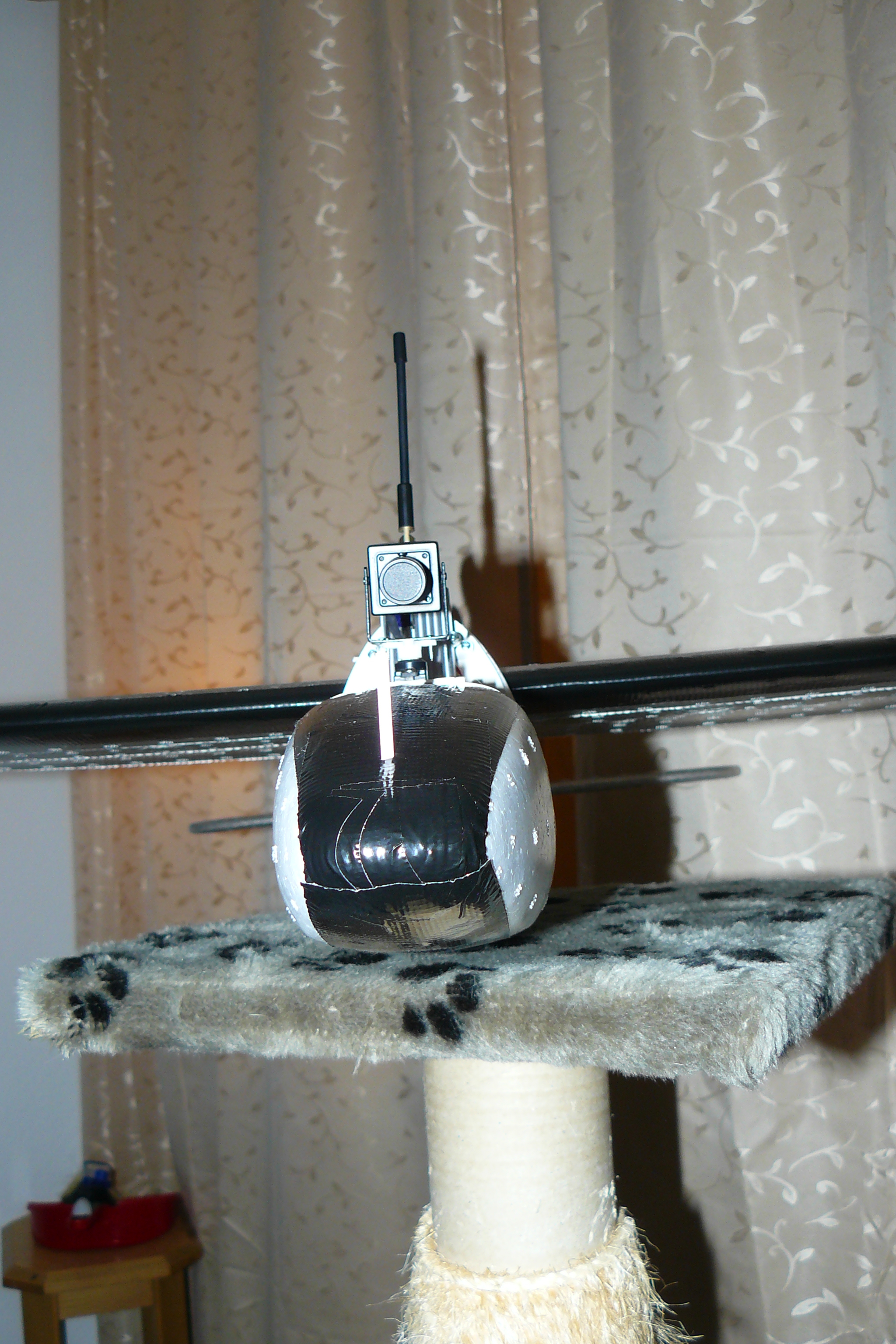 P1060011.JPG