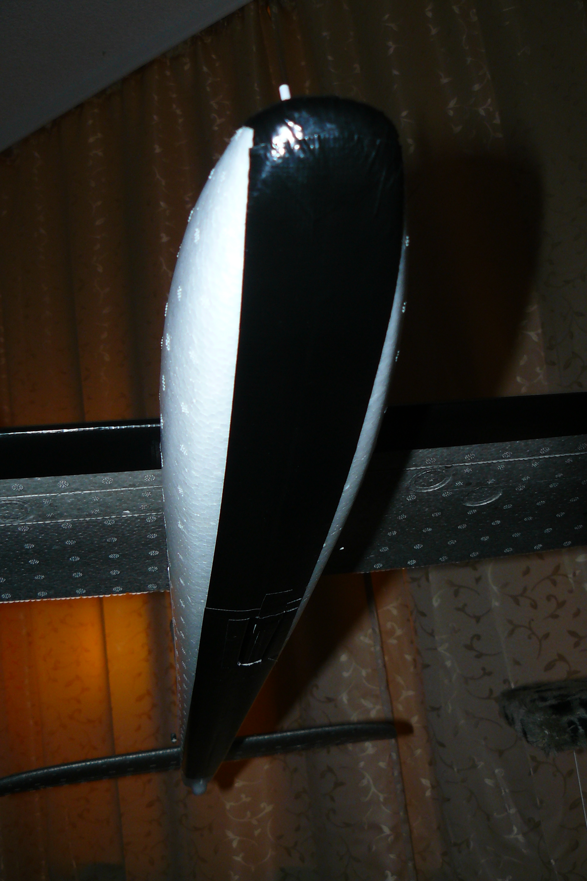 P1060009.JPG