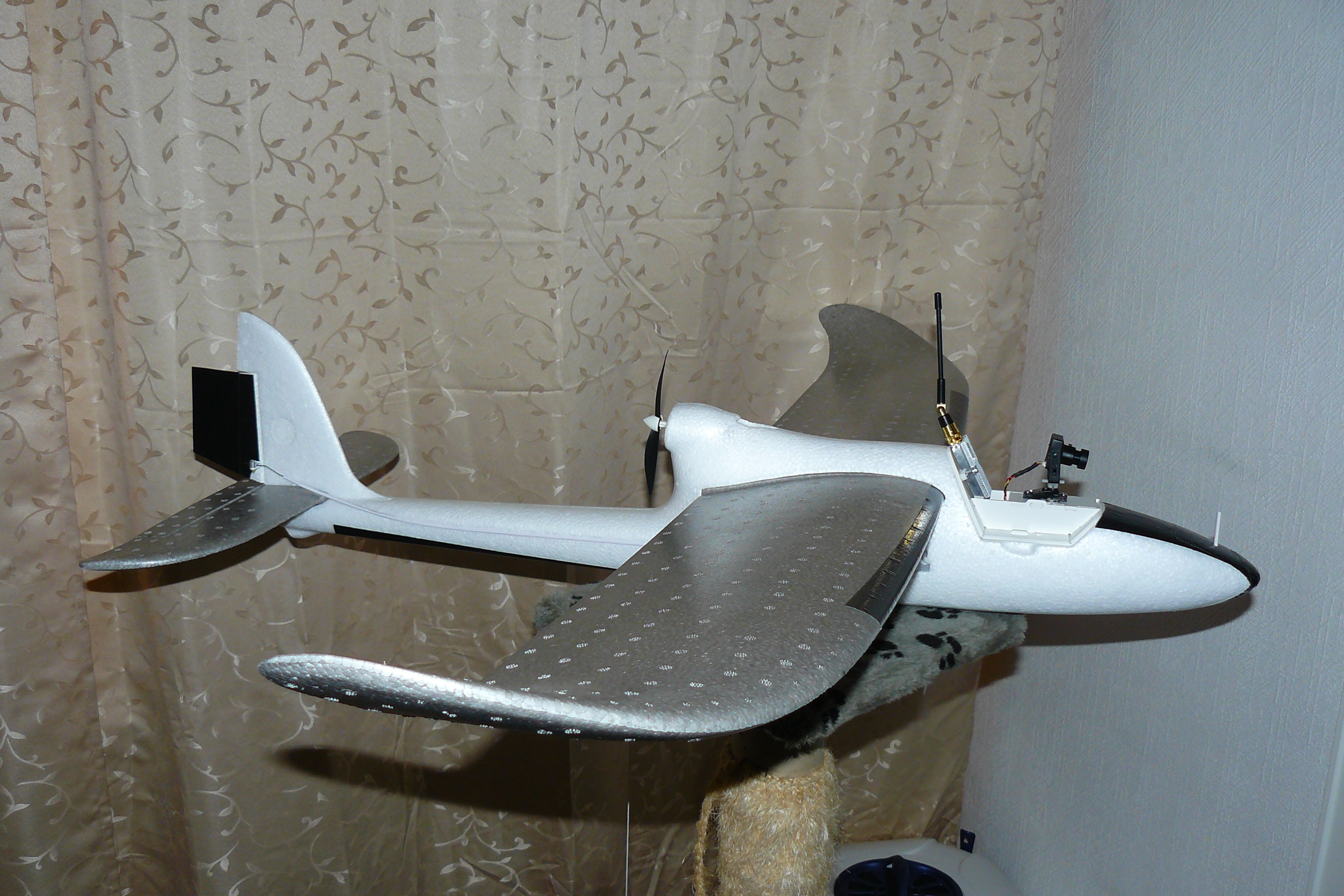P1060006.JPG