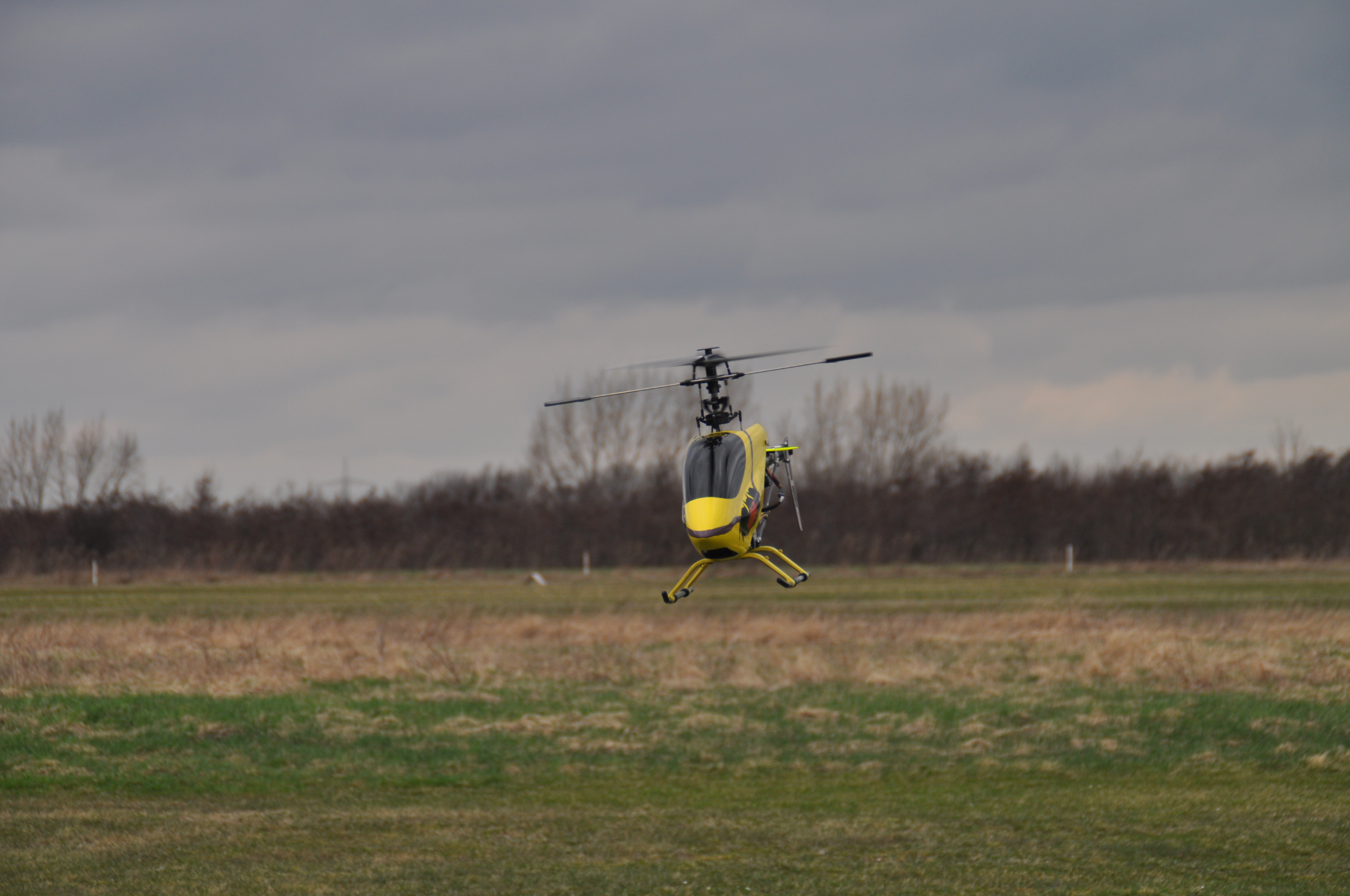 DSC_0736.JPG