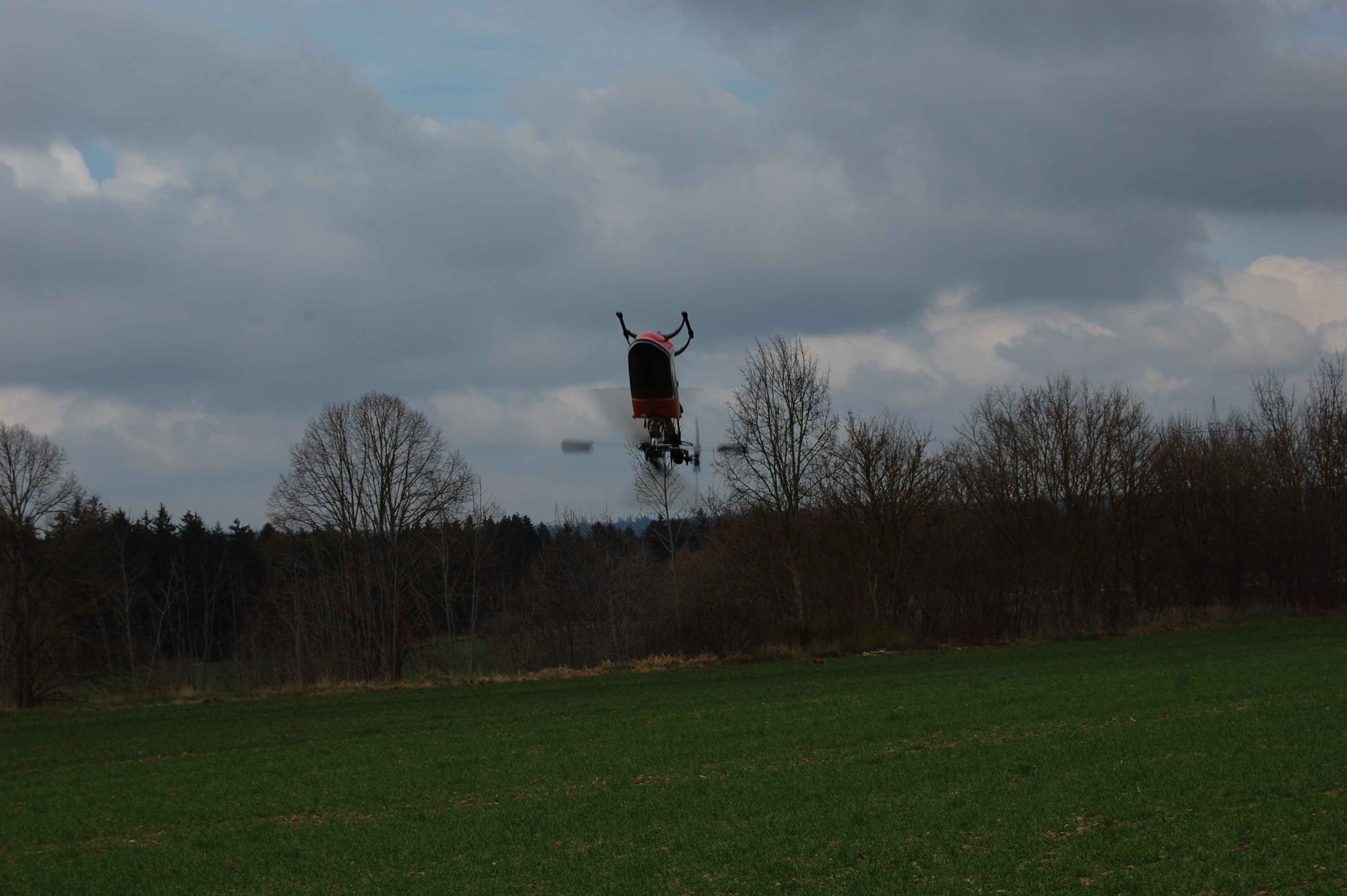 DSC_0197.JPG
