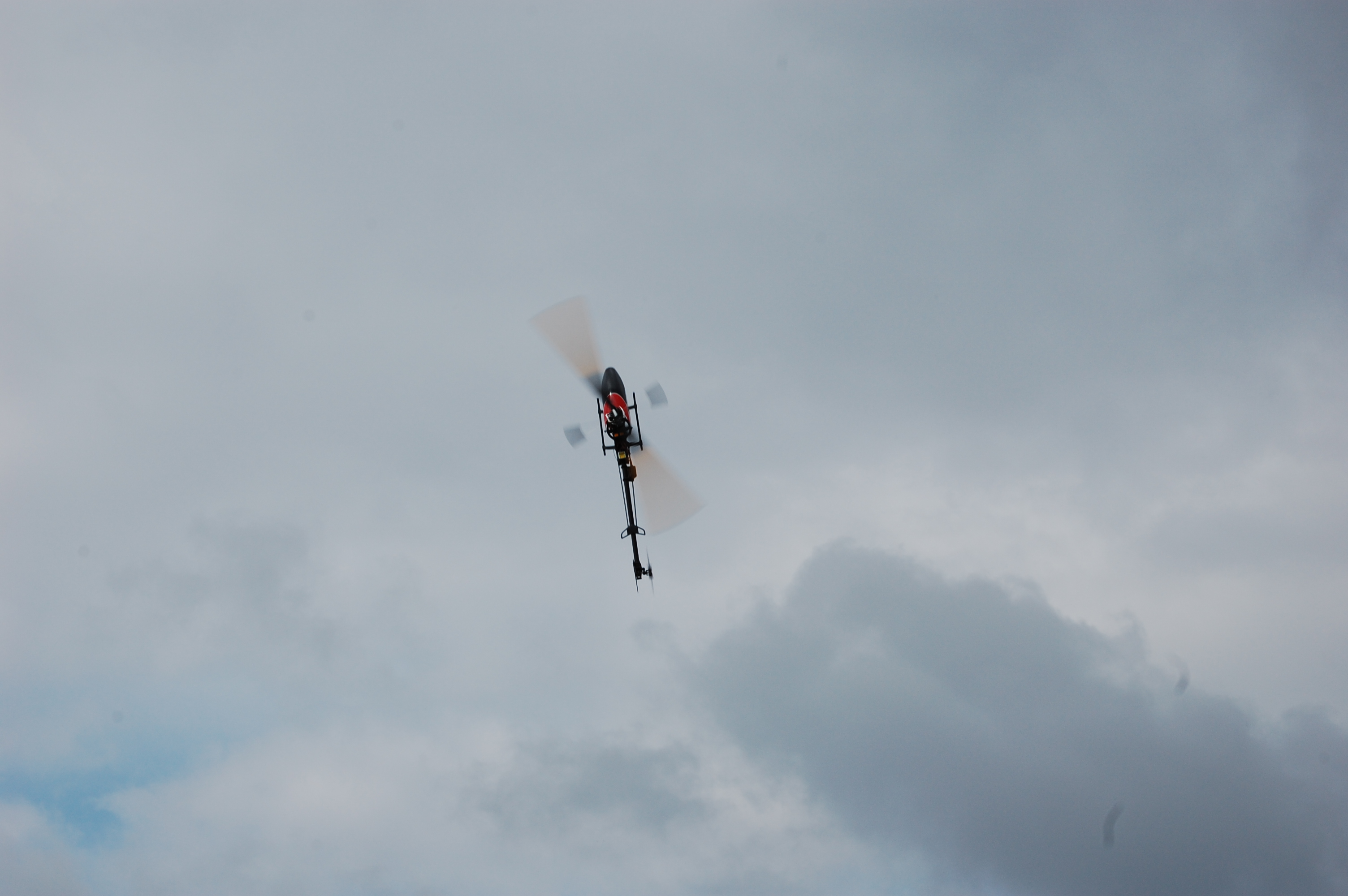 DSC_0198.JPG
