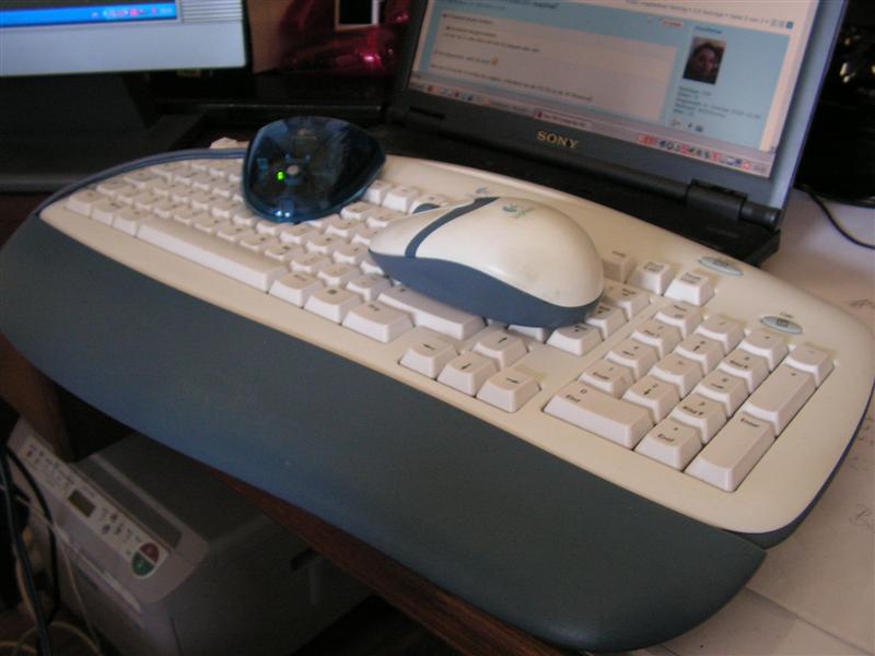 PICT0792 (Medium).JPG