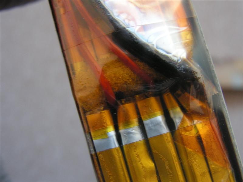 PICT0810 (Medium).JPG