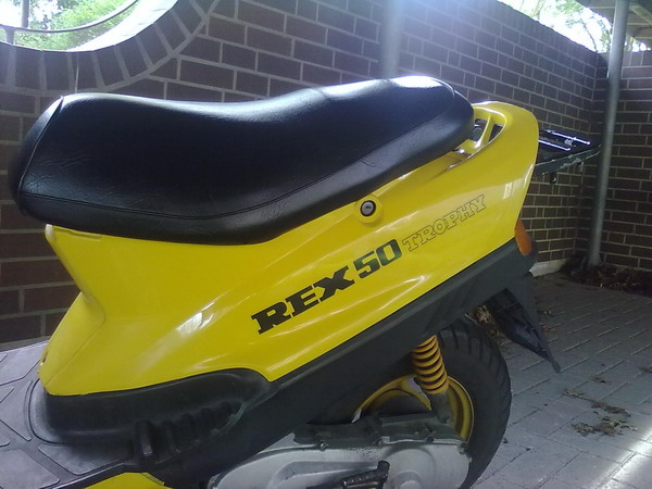 rex 50-.jpg
