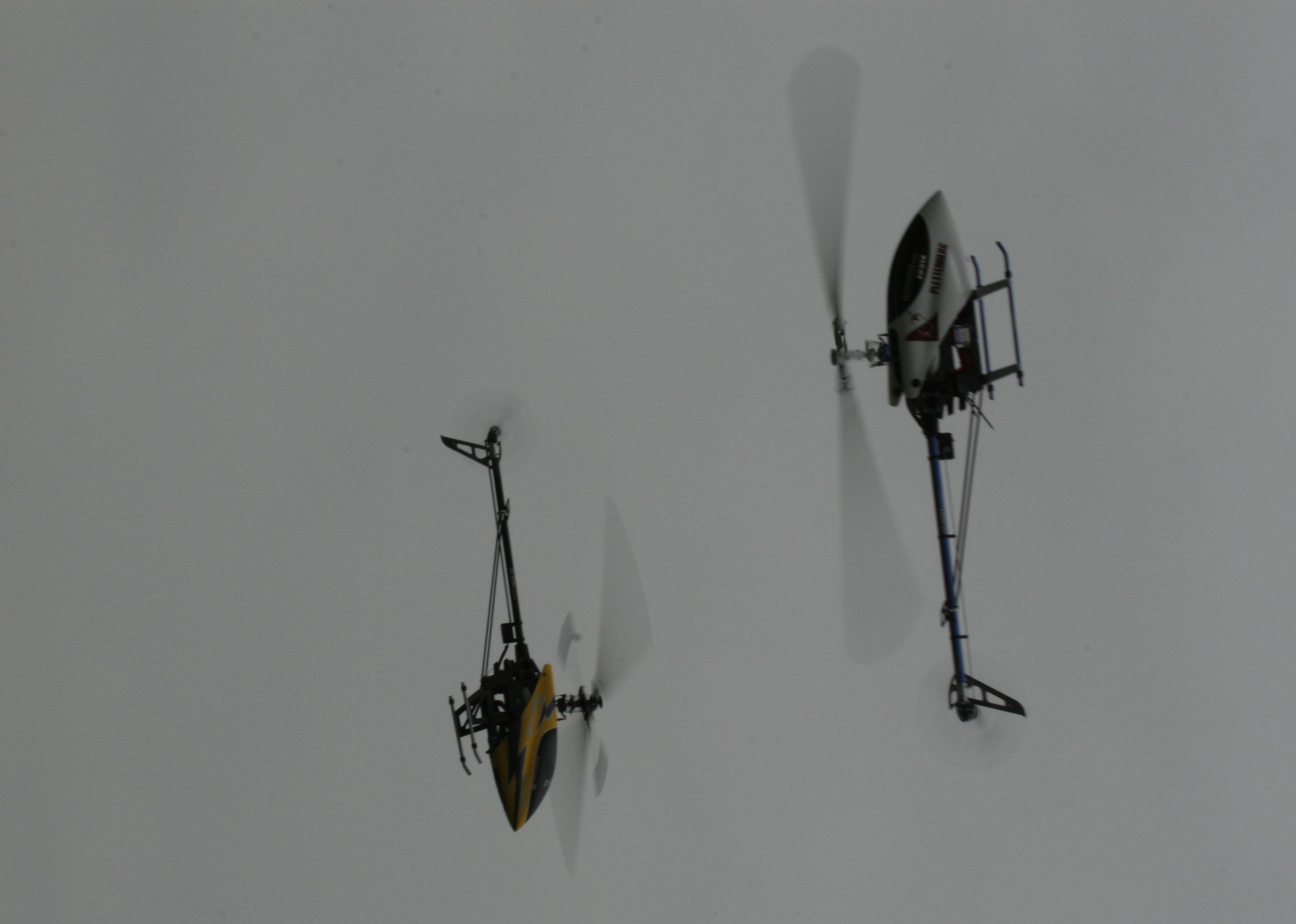 _MG_3405.jpg