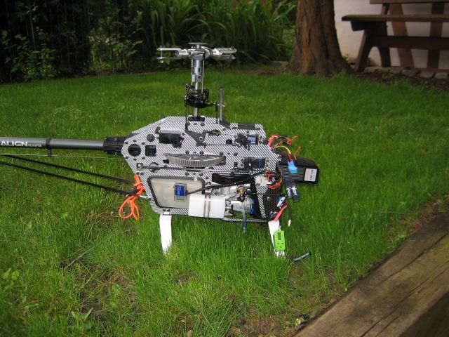 Trex 600_3.jpg