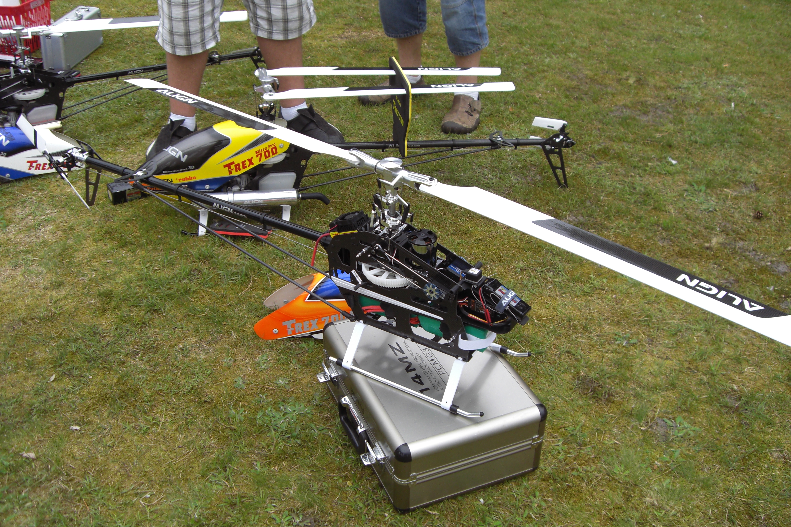TRex700E.JPG