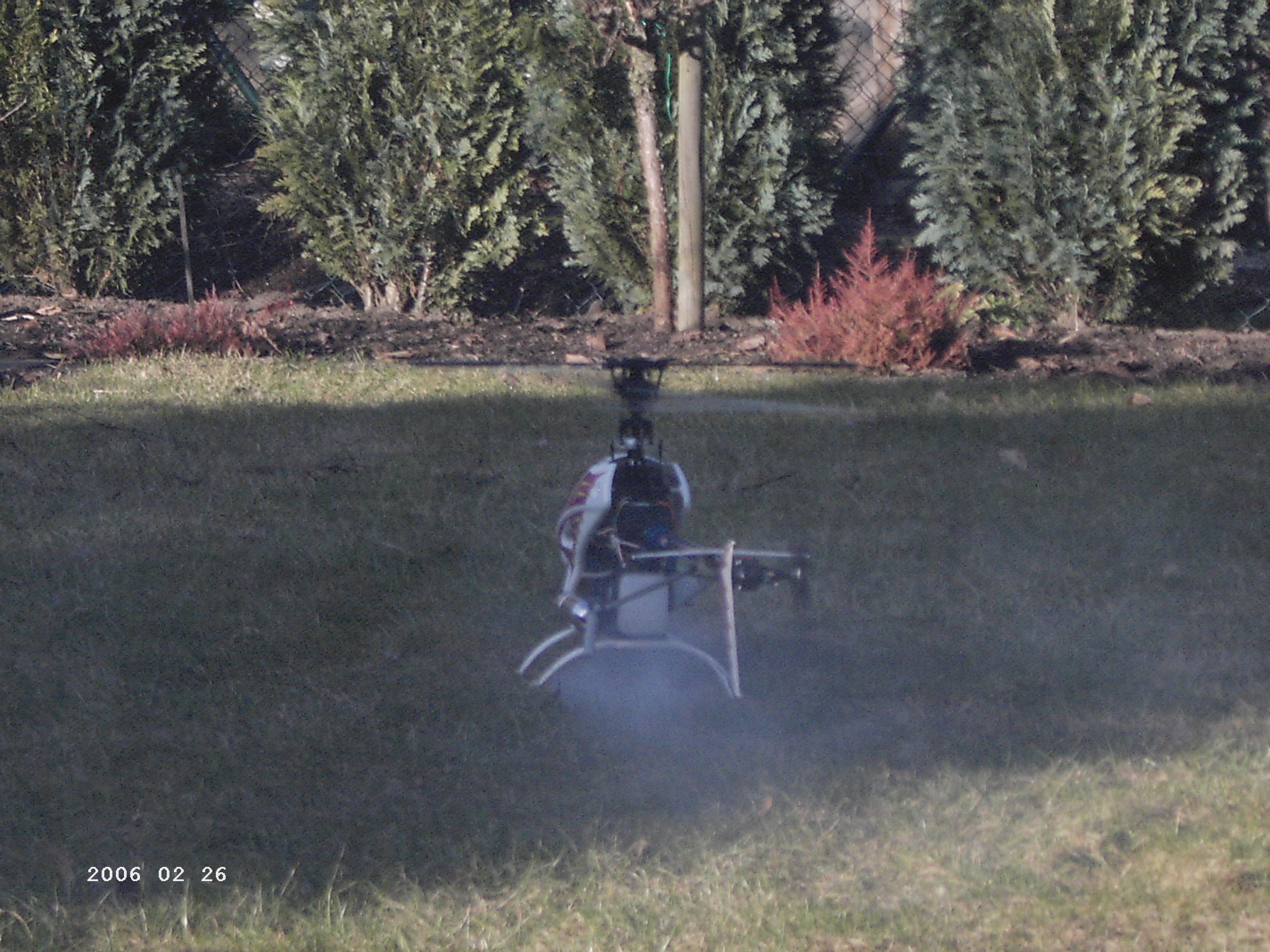 Gartenflug 008.jpg