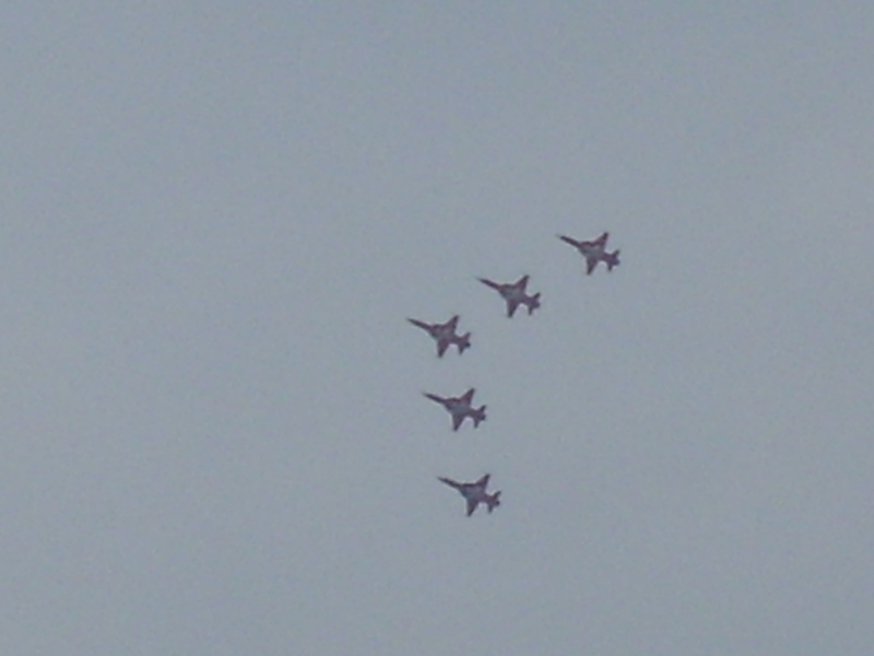 ILA1010_3.jpg