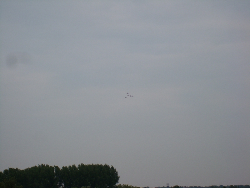 ILA1010_4.jpg