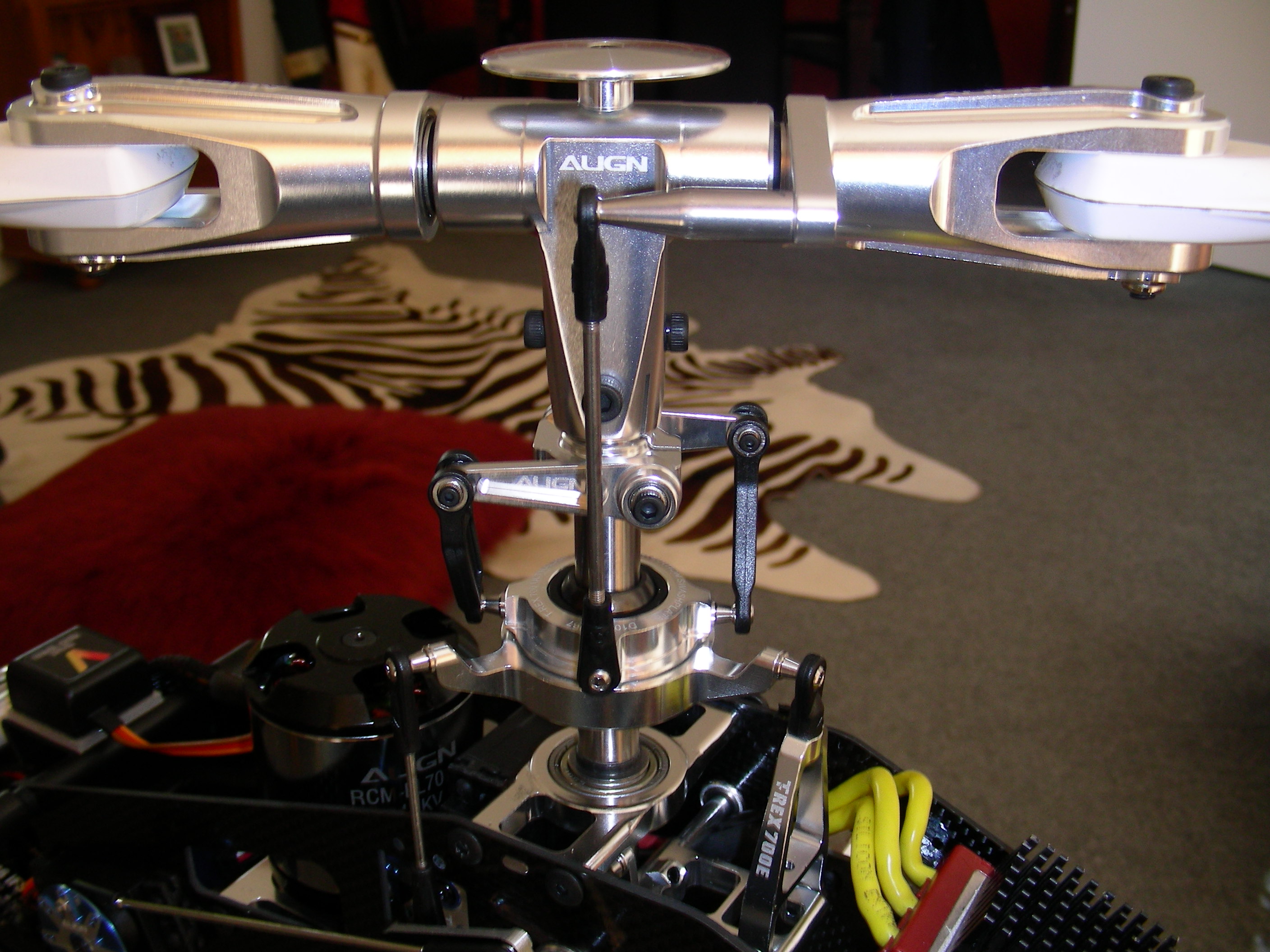 T-Rex 700 E (7).JPG