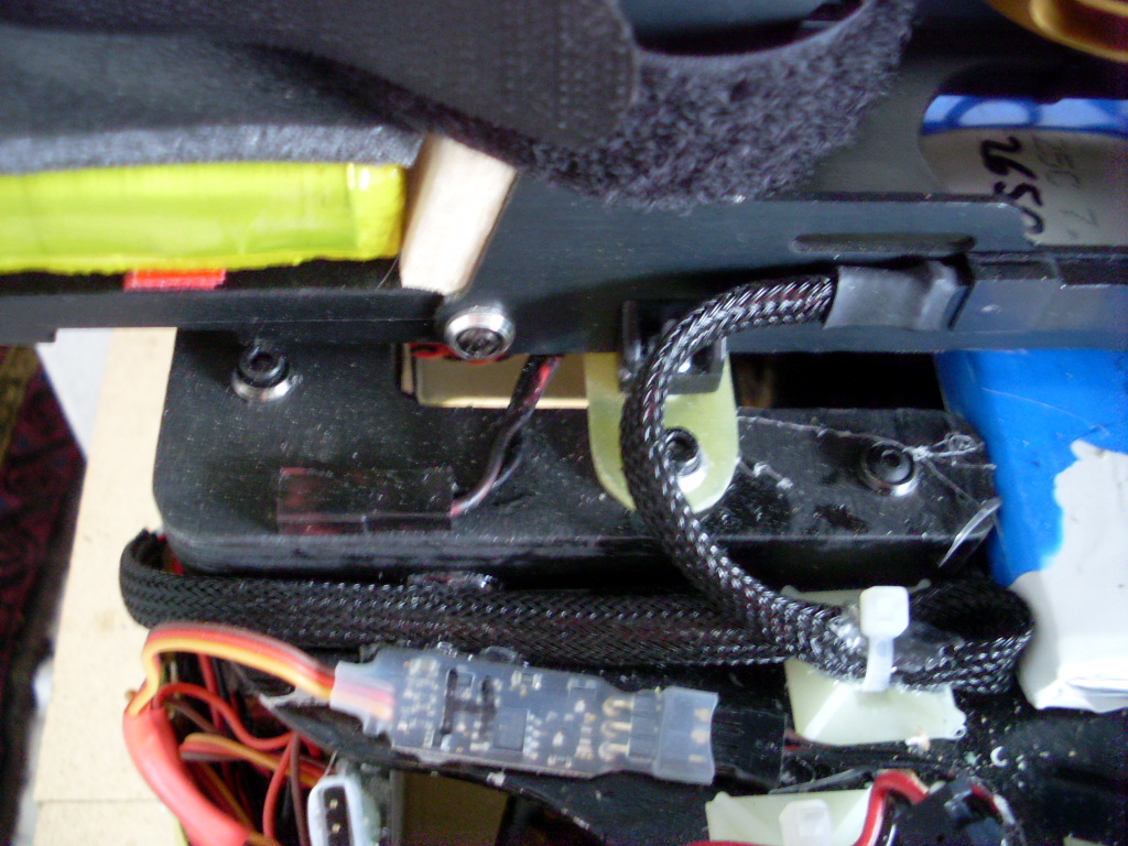 SL370463.JPG