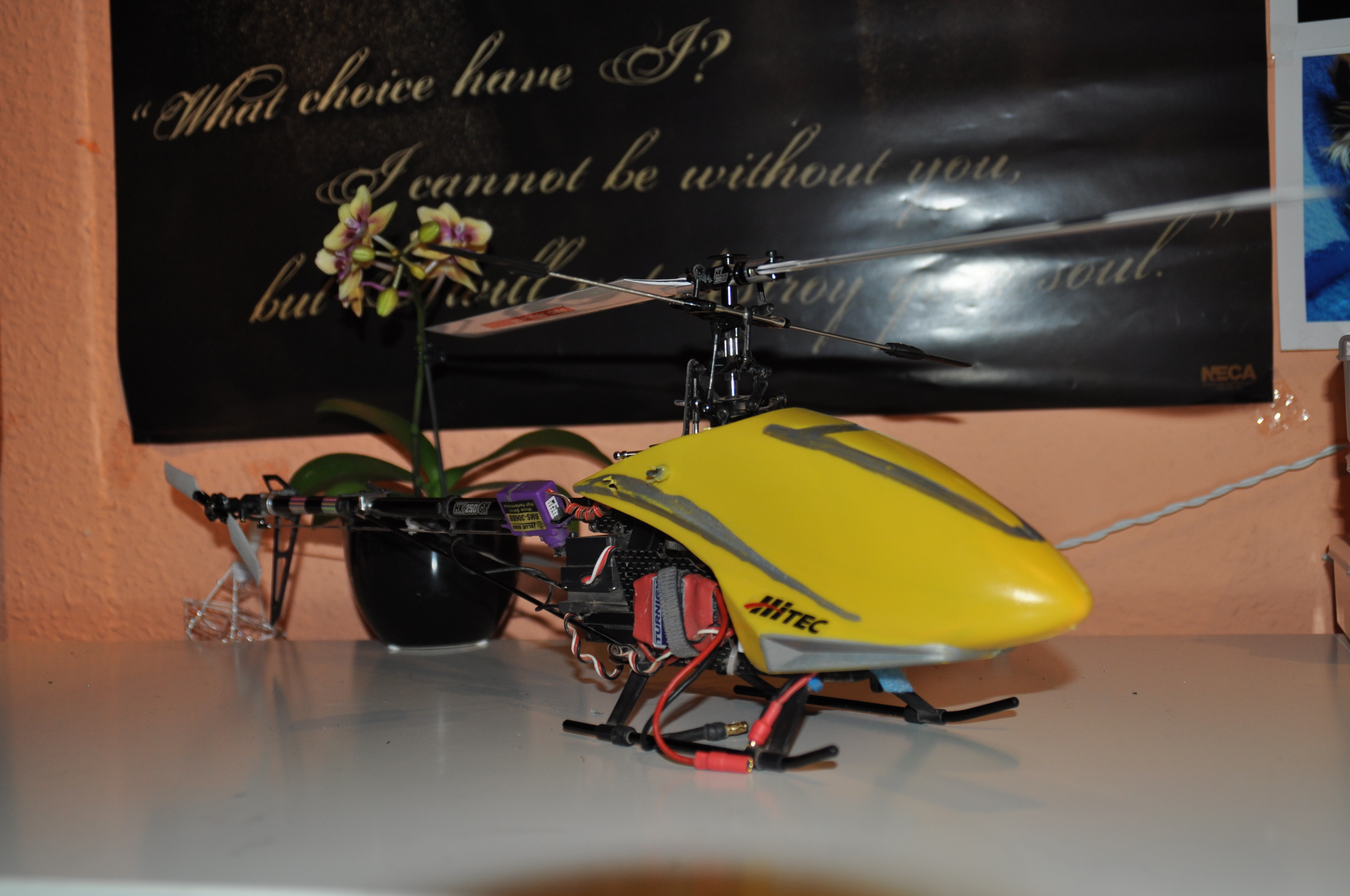 DSC_1338.JPG