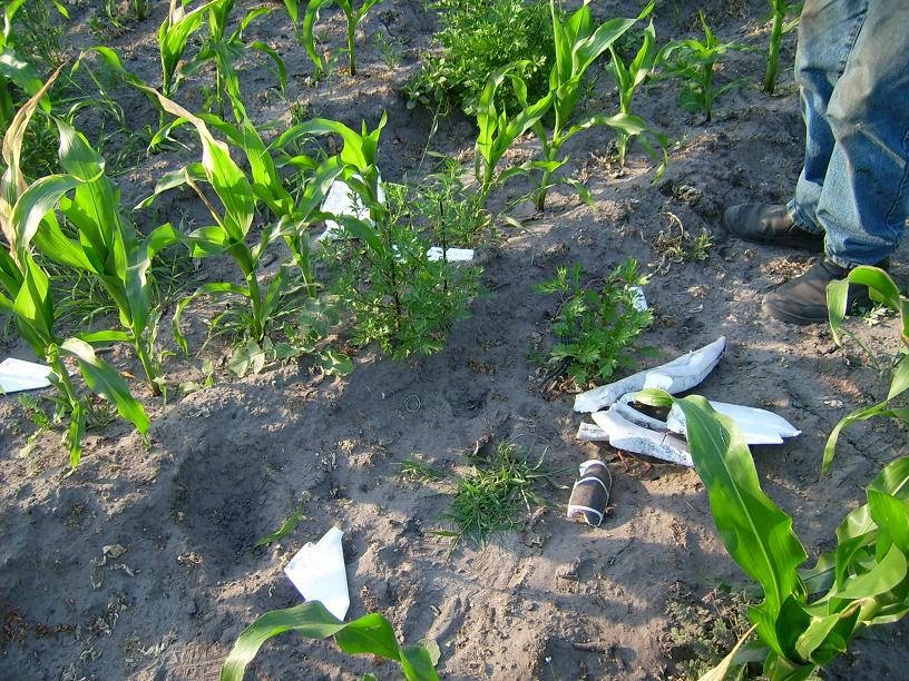 JD500091.JPG