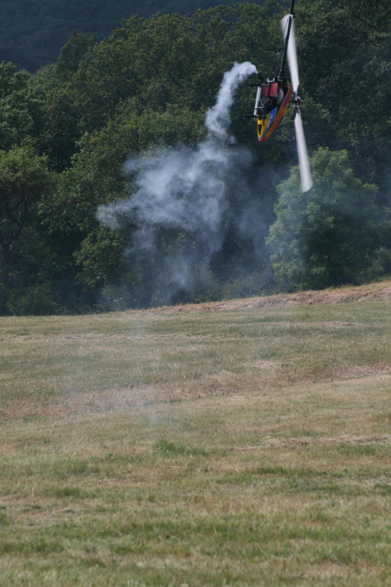 Sieht aus wie der "letzte" Meter :-) für Jans Rex!