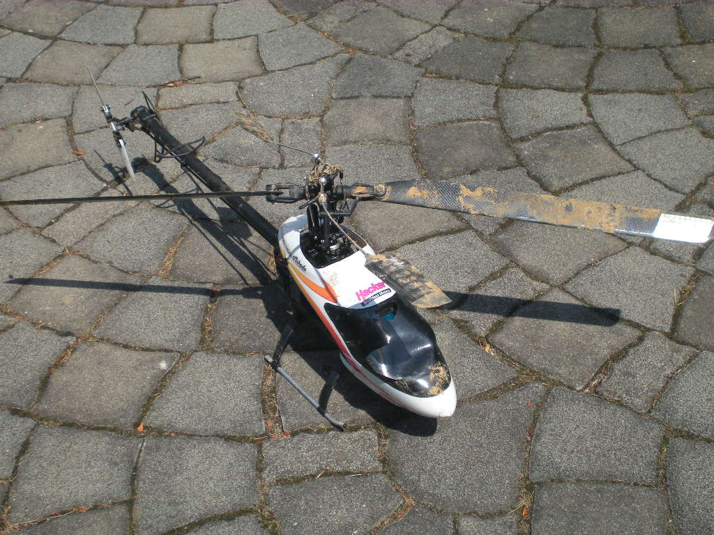 DSCN4983.JPG