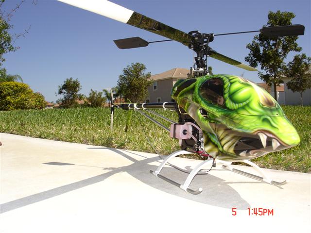 raptor132.jpg