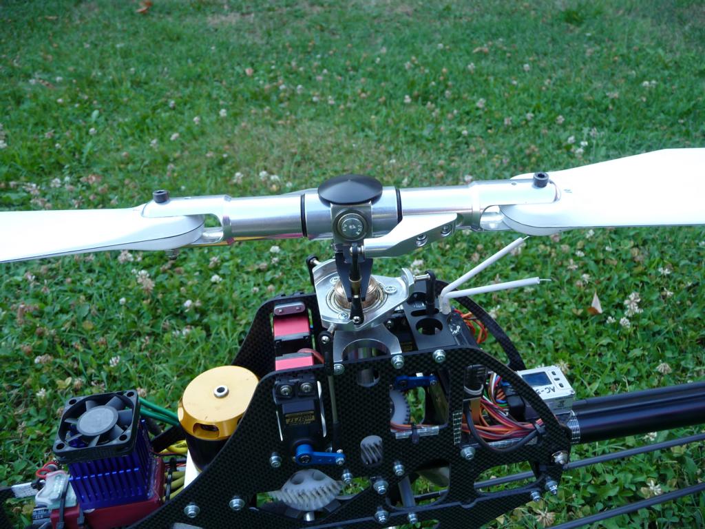 K1024_P1000492.JPG