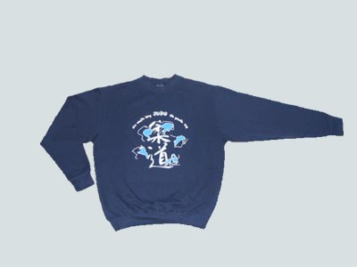 pulli_der_sanfte_weg.jpg