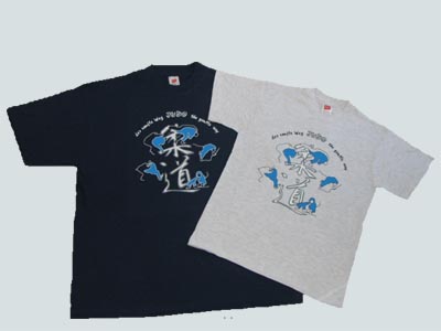 tshirt_der_sanfte_weg.jpg