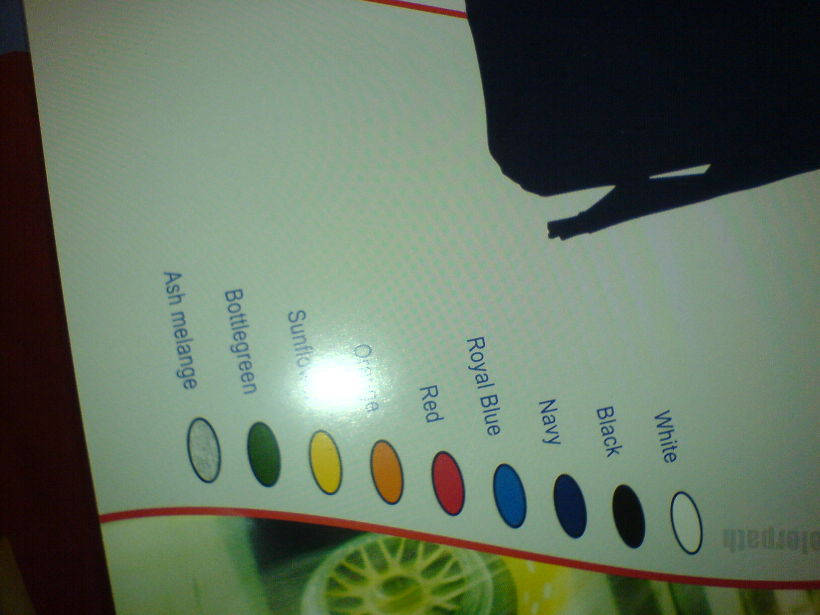 das ist eine Auswahl der Farben der Shirts die möglich sind