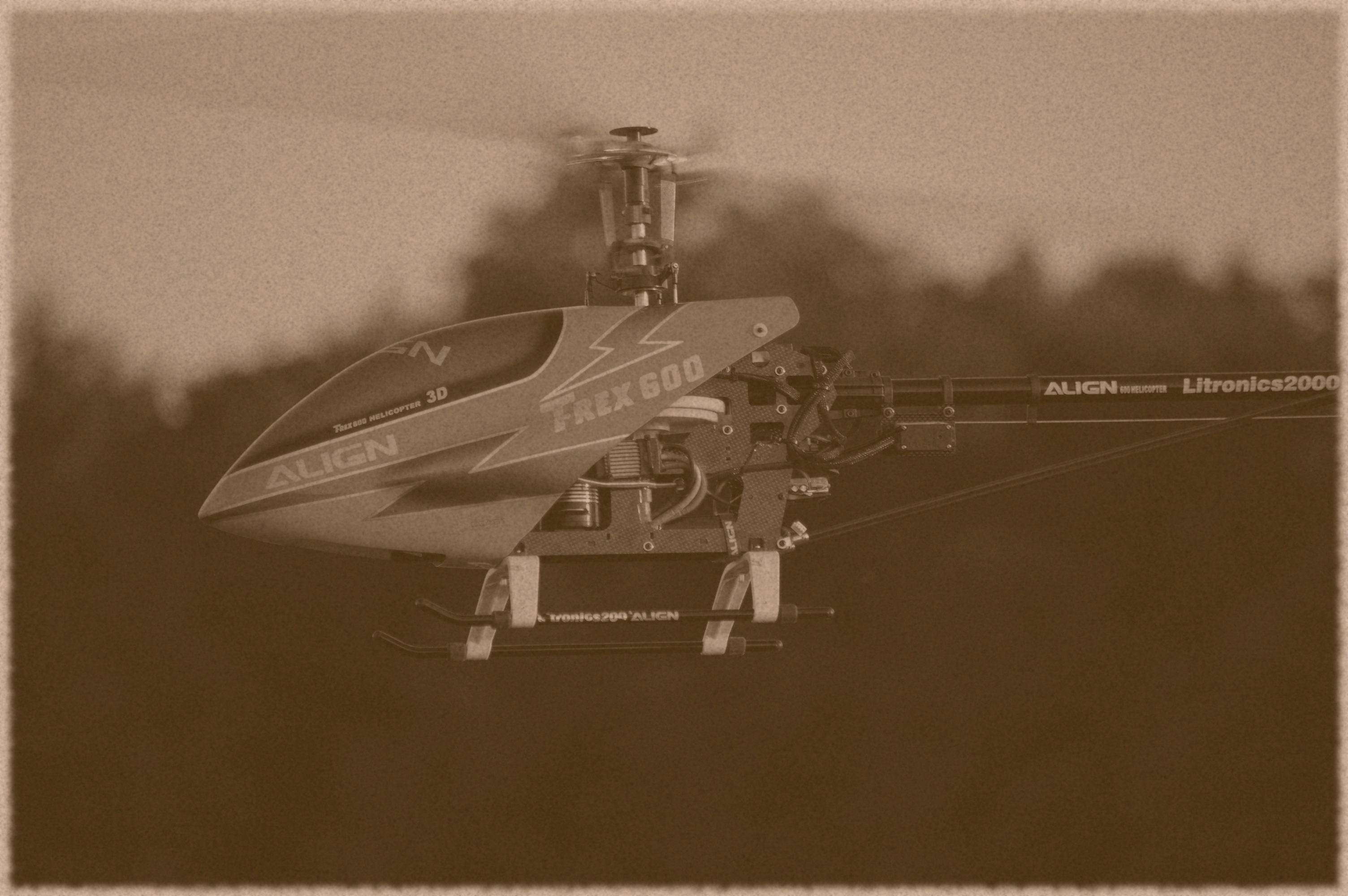 T-Rex 600 Sepia