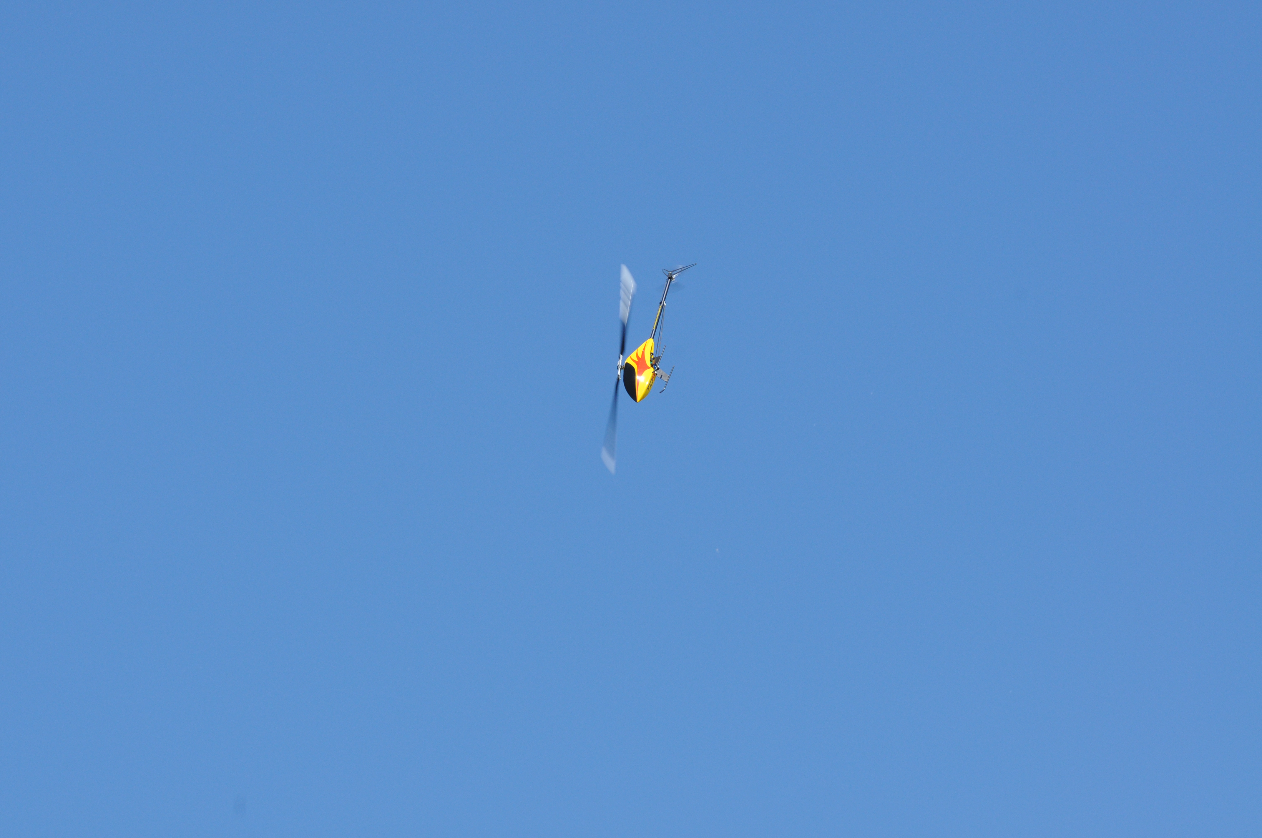 DSC_2133.JPG