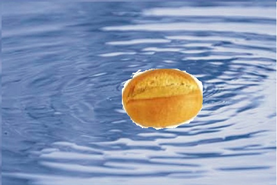 Schwimmt gut und ist nicht zu schnell/ teuer!