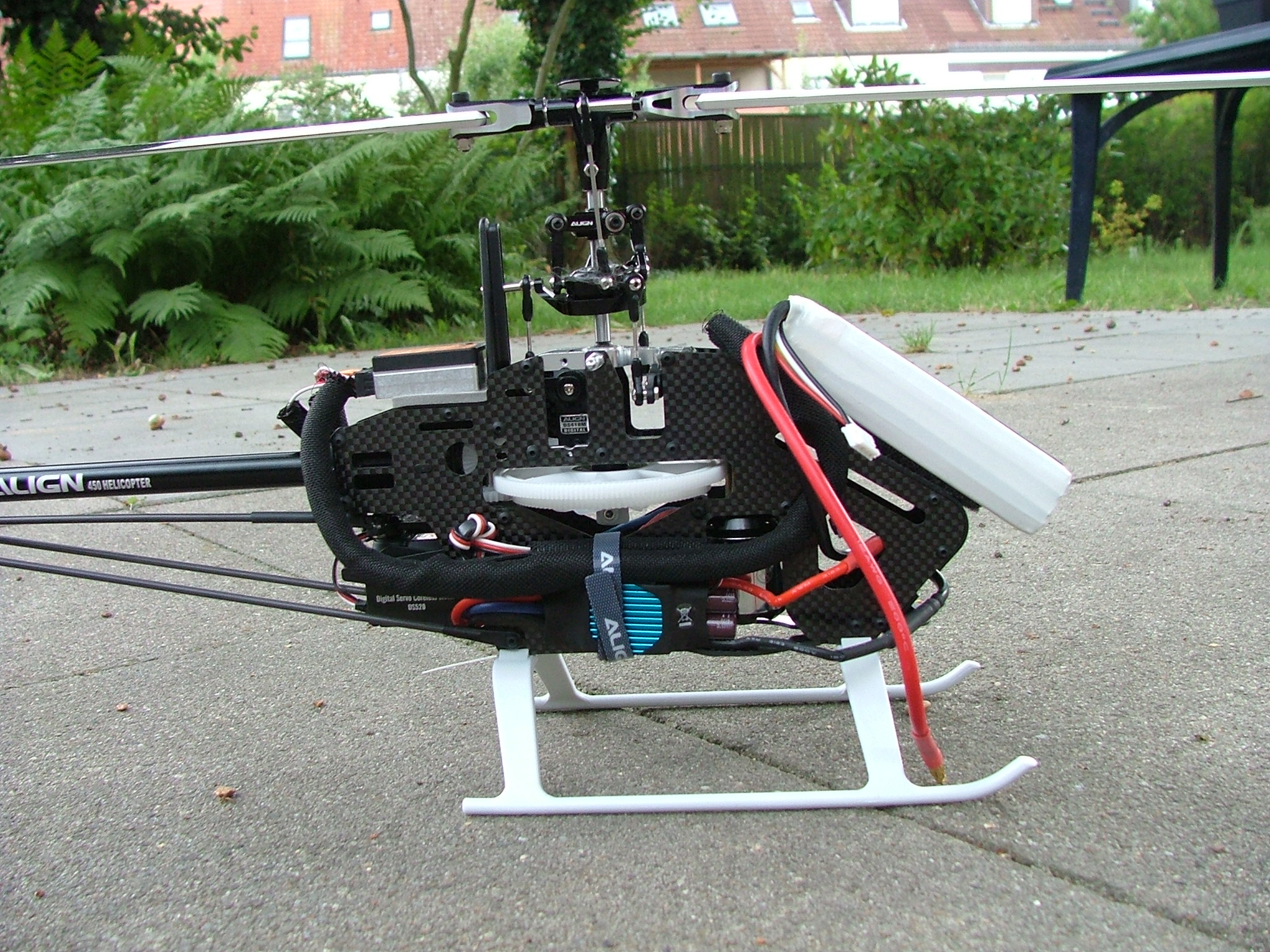 DSCF7569.JPG