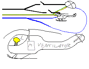 heli.GIF