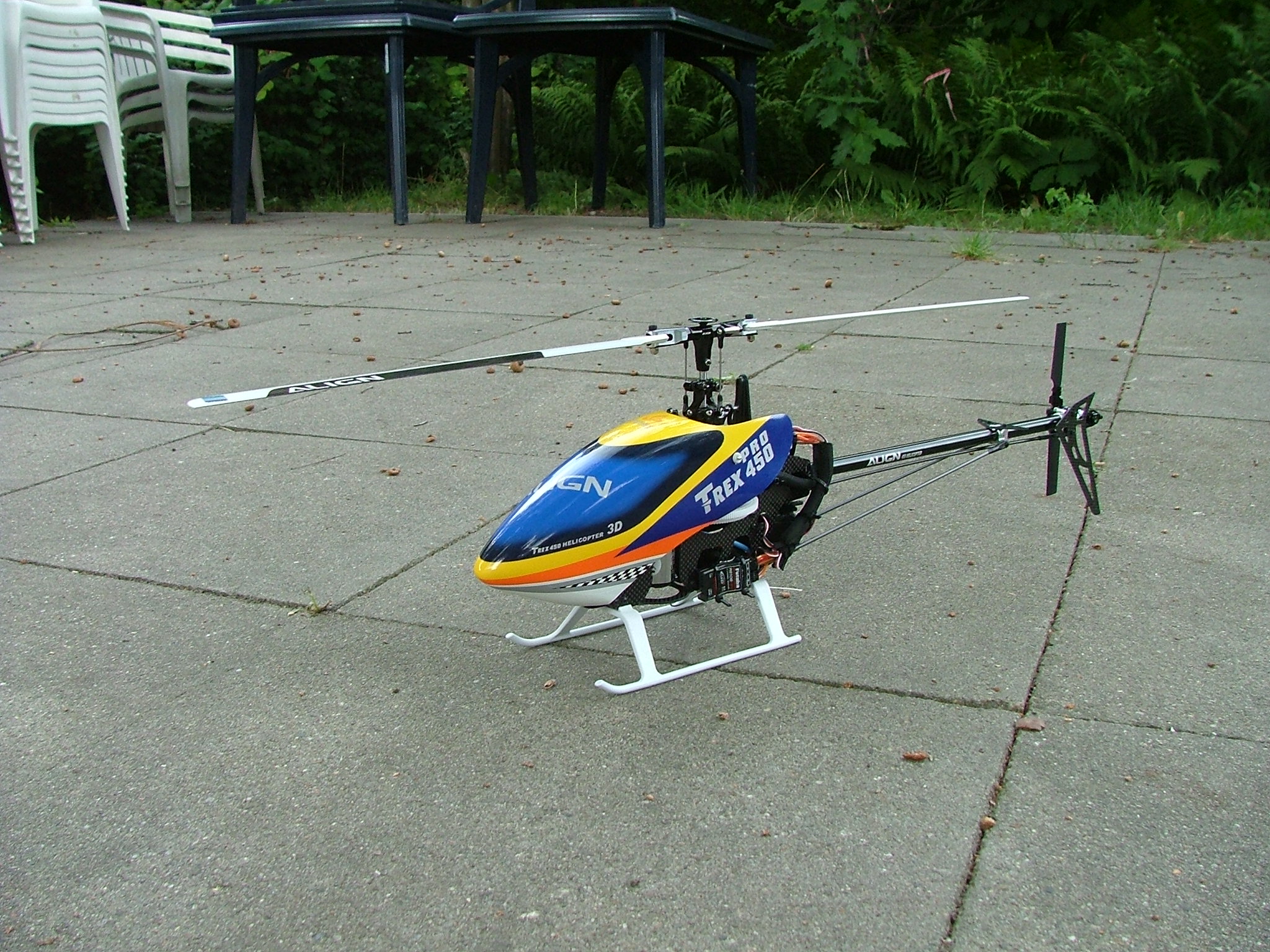 DSCF7567.JPG