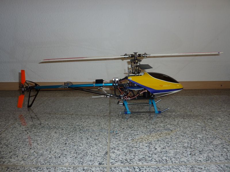P1010225.jpg
