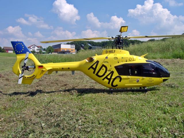 K640_Modellfliegen 25.06.10 - 16.JPG