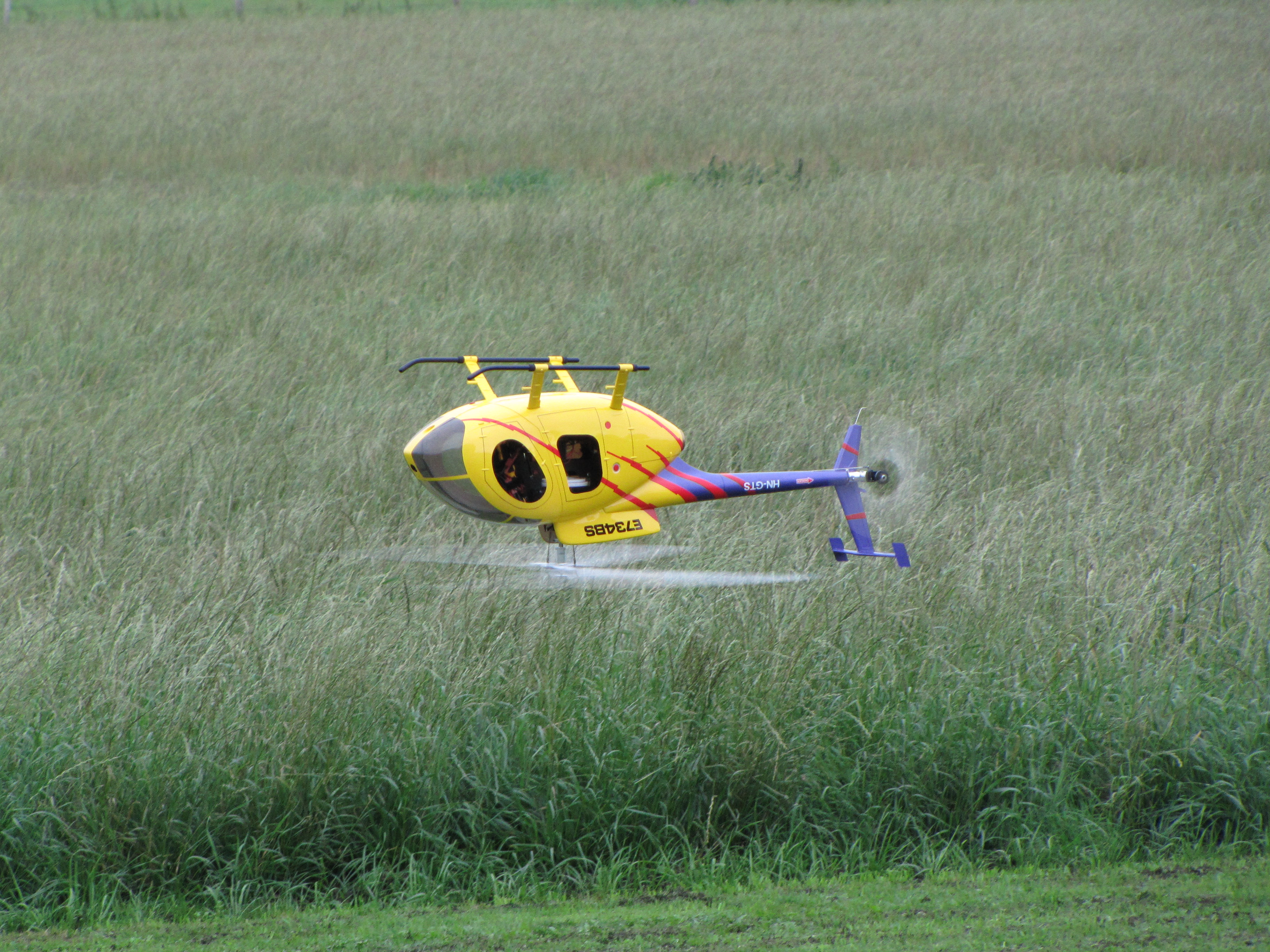 IMG_1017.JPG