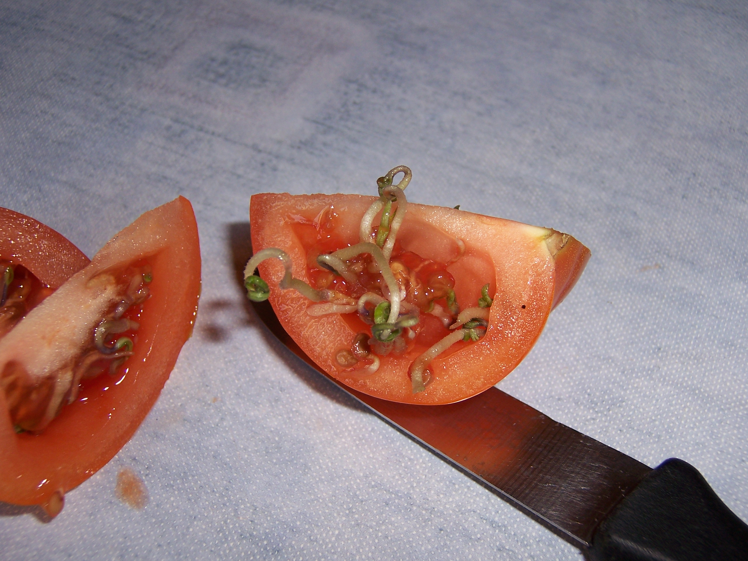 sammelsorium 011.jpg