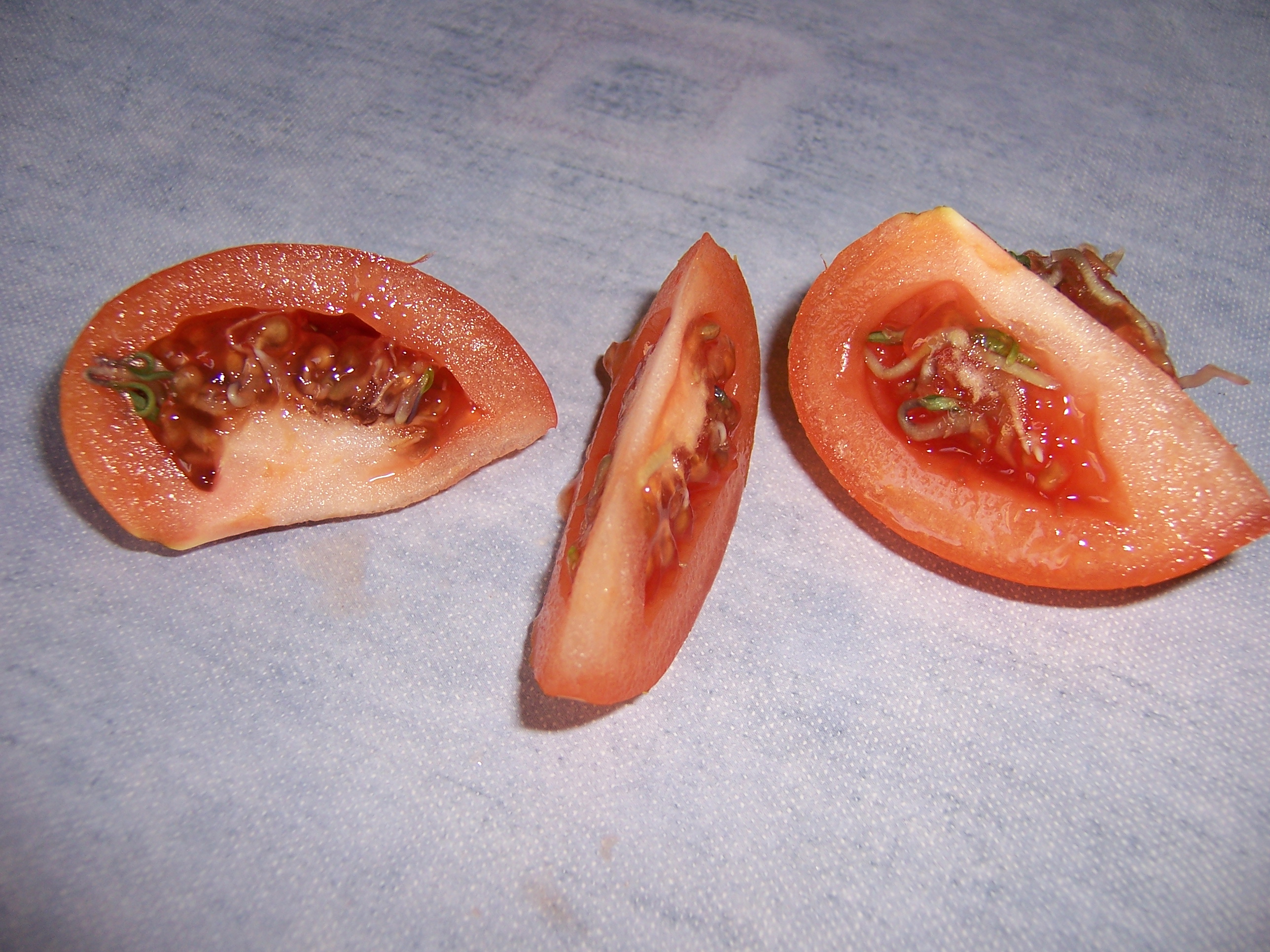 sammelsorium 008.jpg