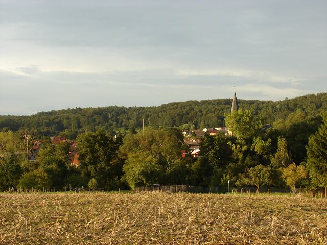 k-DSC01556.JPG