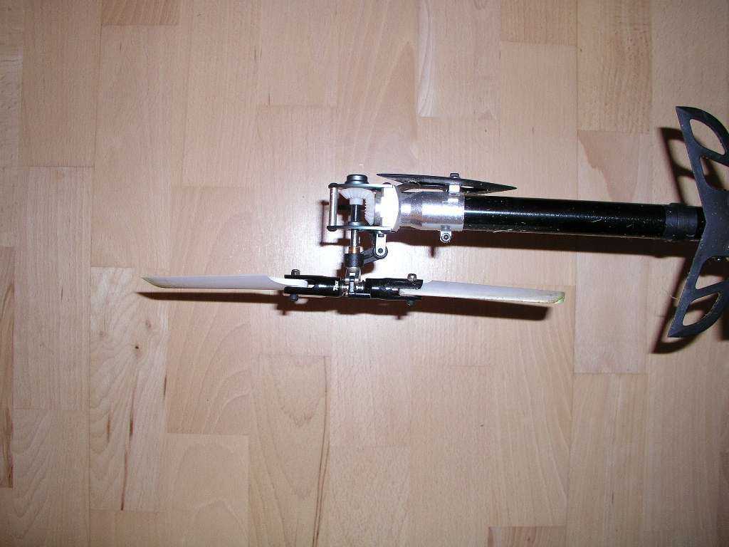 P1010119.JPG