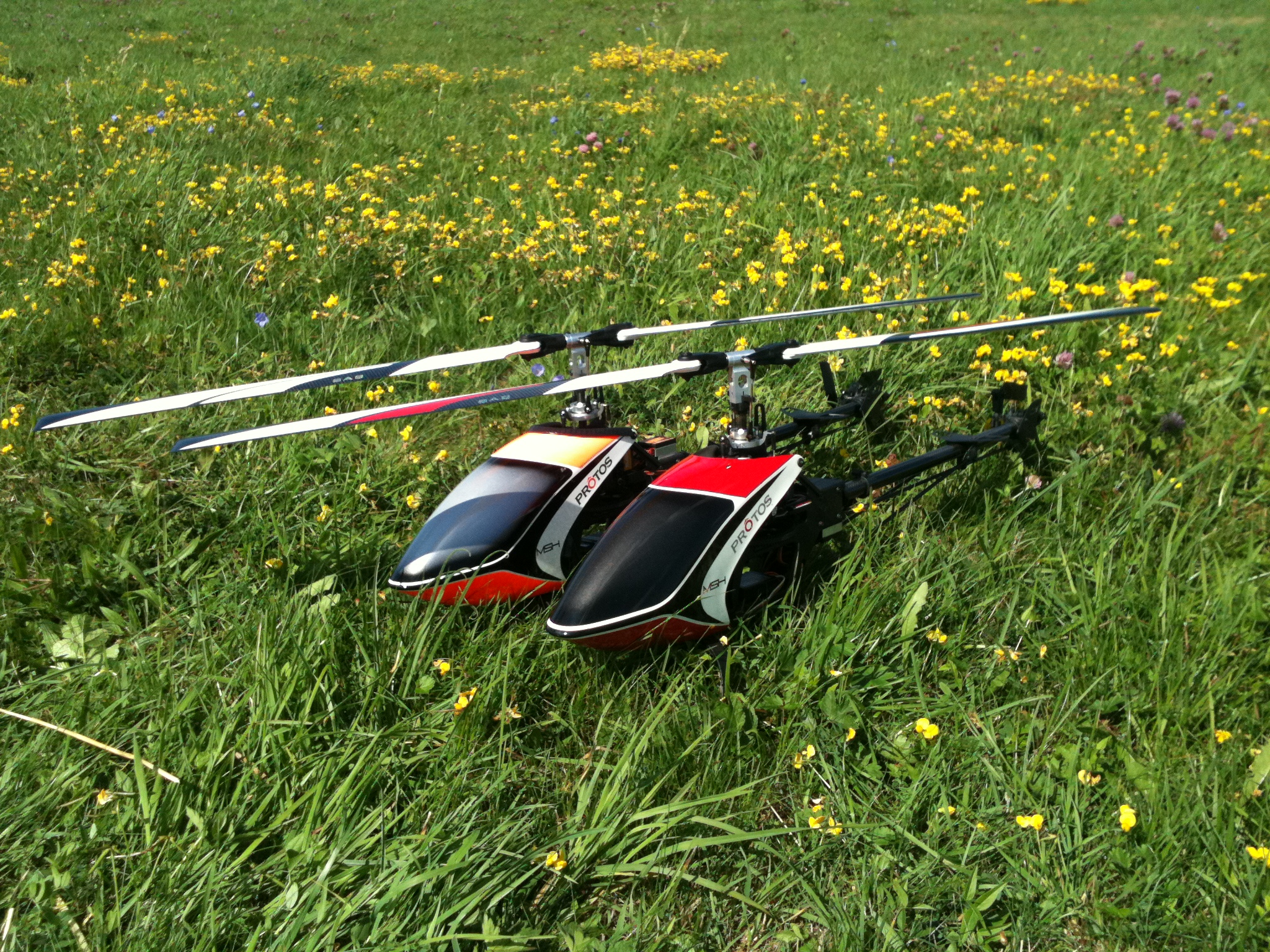 Protos 014.jpg