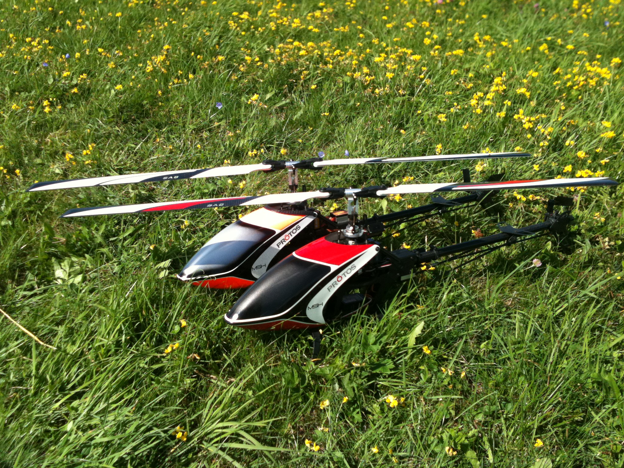 Protos 016.jpg