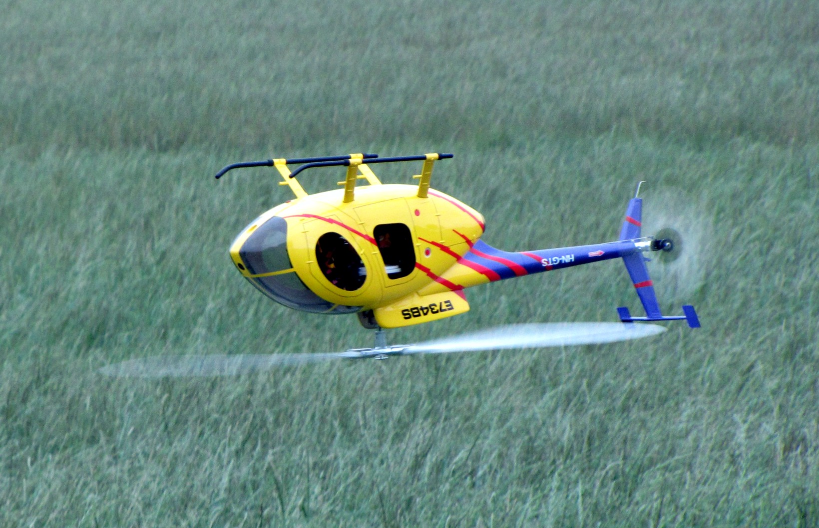 MD500-Ruecken.jpg
