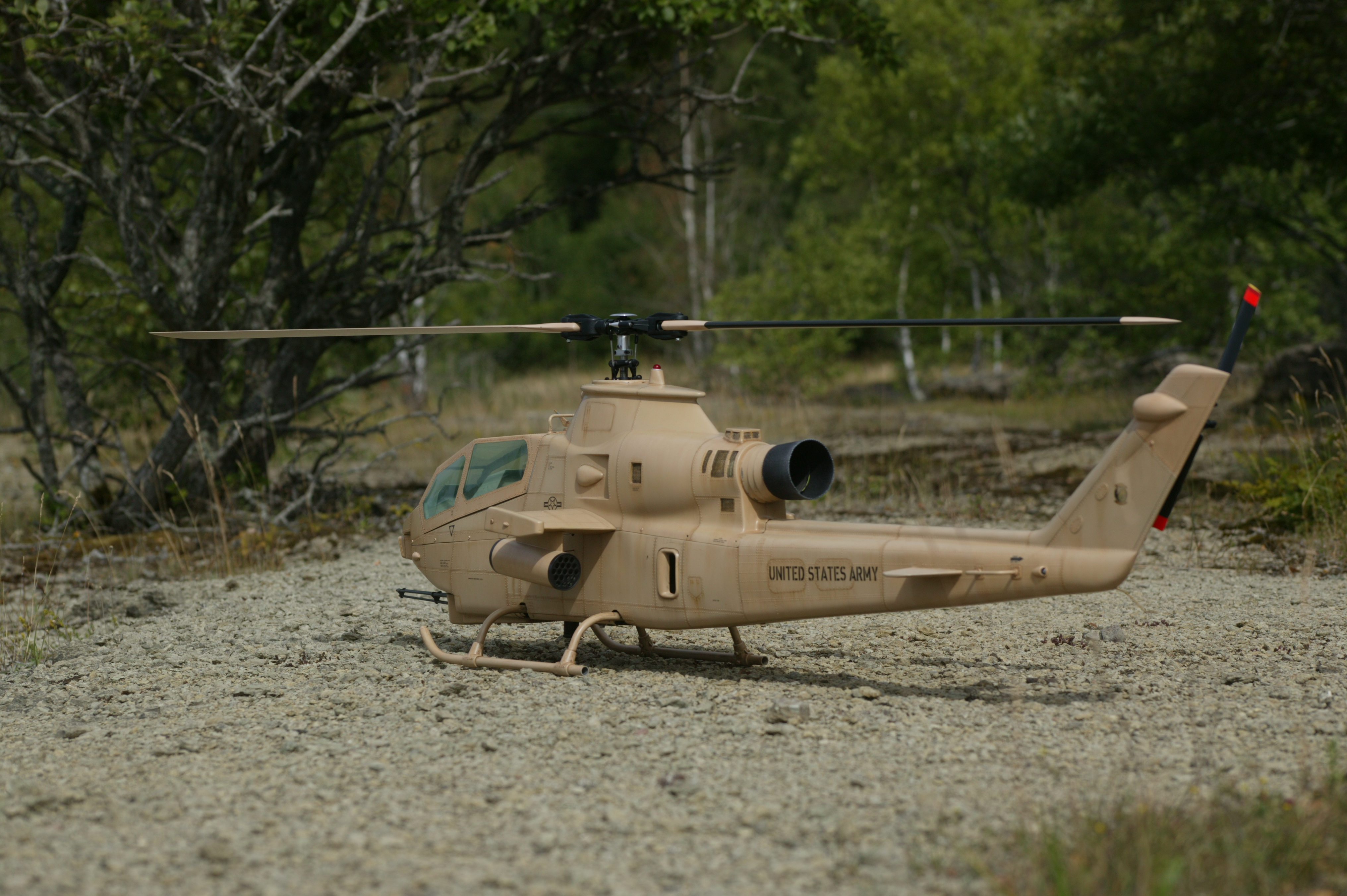 9B1U9505.JPG