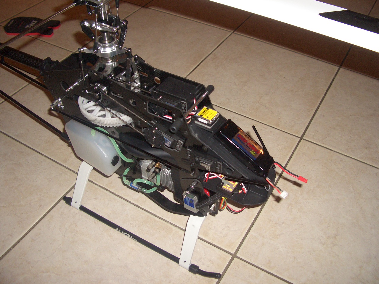 CIMG1054.JPG