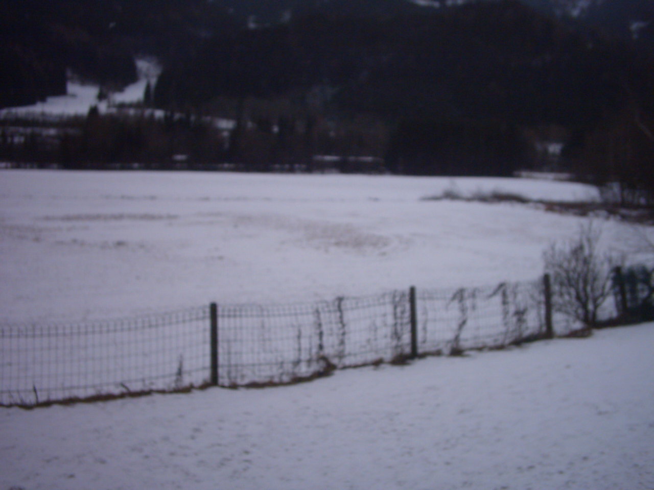IMG_0006.JPG